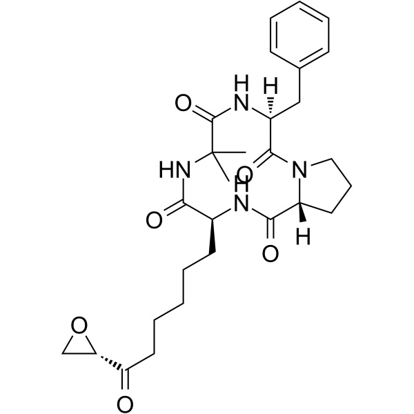 Chlamydocin 53342-16-8